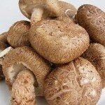 477px-Shiitake_mushrooms_2